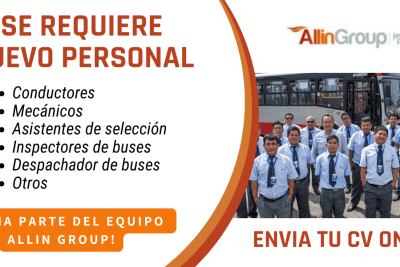 allin group trabajo